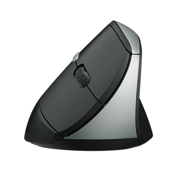 EV250 RAPOO Мышь вертикальная беспроводная (черный)