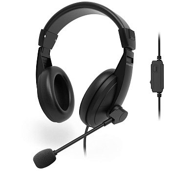 H150S RAPOO Проводная гарнитура USB - черный